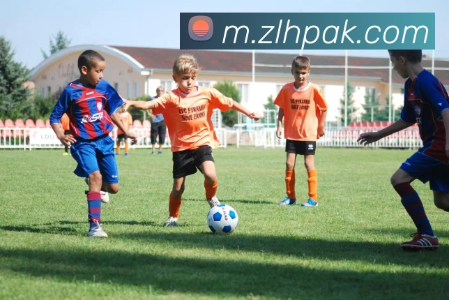 足球世界杯官网中文版平台生态图